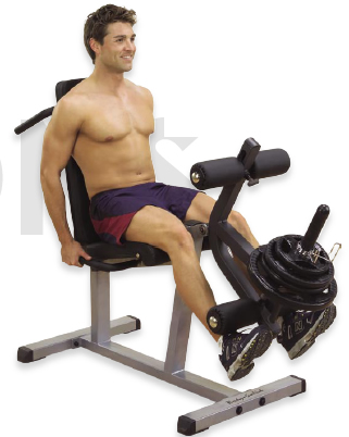 Body Solid Leg Curl Extension Station